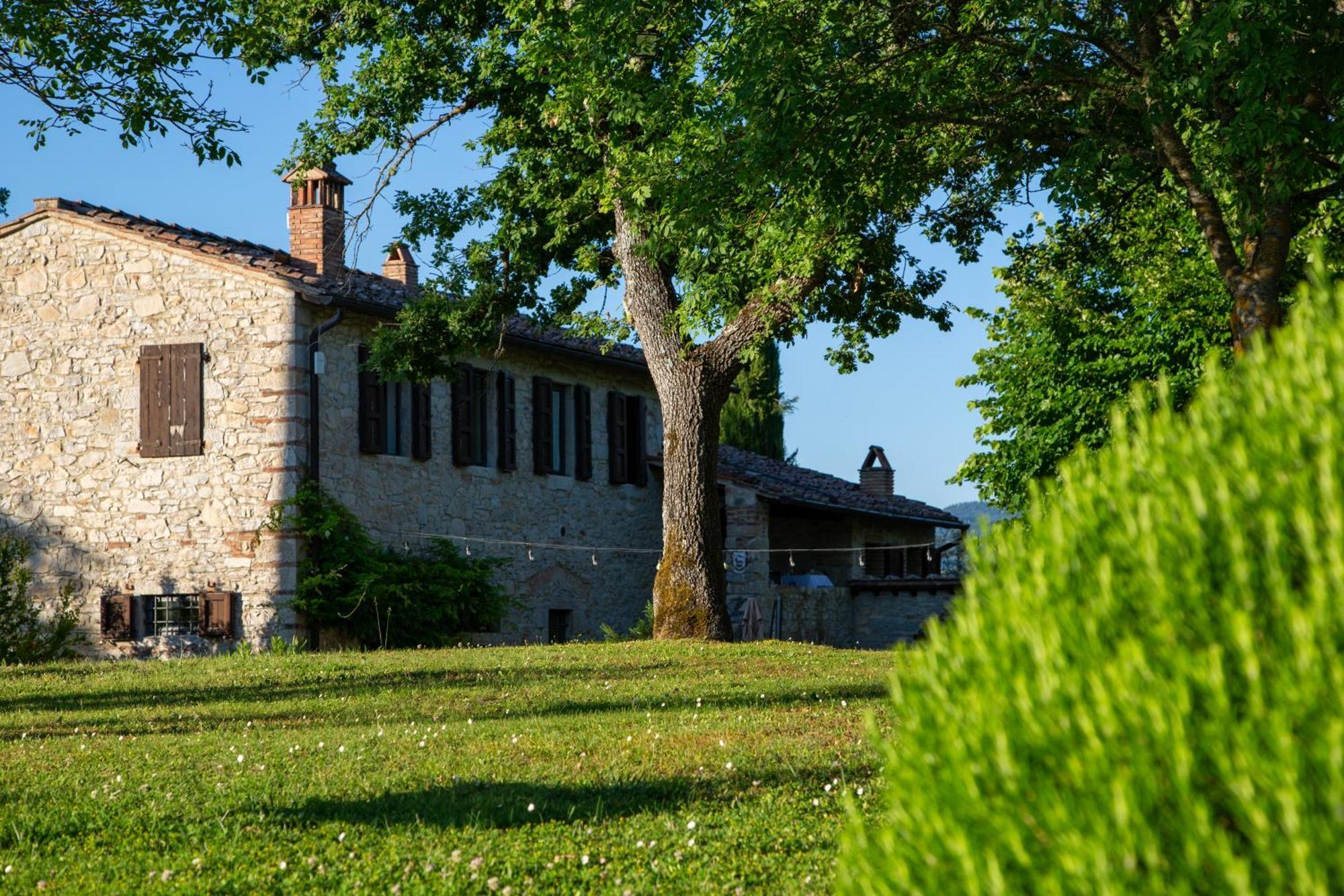 Apartament Colombaio Di Cencio Gaiole in Chianti Zewnętrze zdjęcie